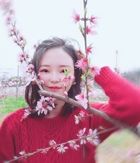小桌子的第二张照片--怀化王婆说媒